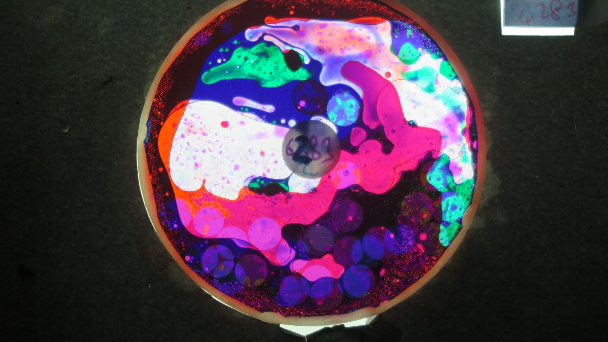 BV4283 bubble vision oil wheel